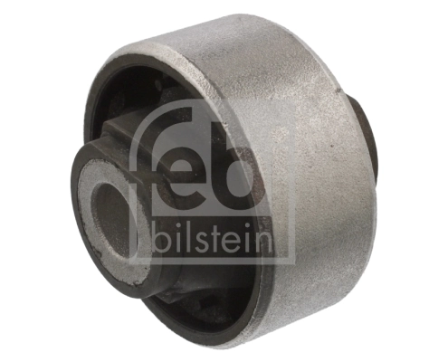 Mounting, control/trailing arm